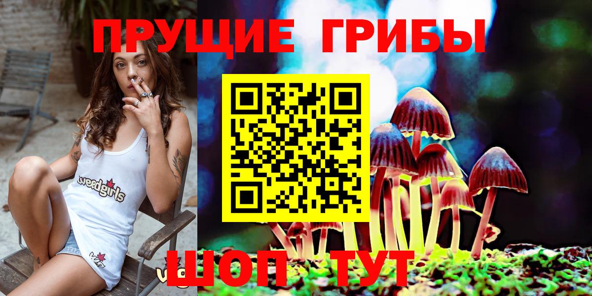 Егорьевск  Псилоцибиновые грибы Cubensis  Вход с VPN  Псилоцибиновые грибы мицелий 