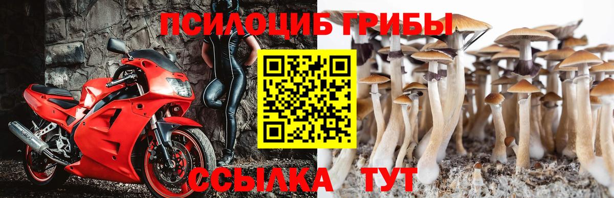 Галлюциногенные грибы ЛСД Егорьевск